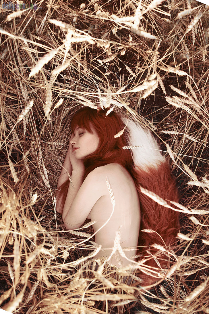Horo from Spice and Wolf
