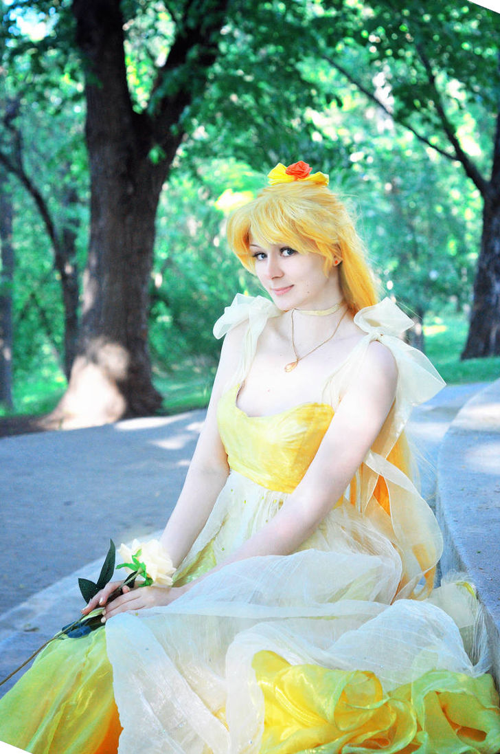Princess Venus from Sailor Moon