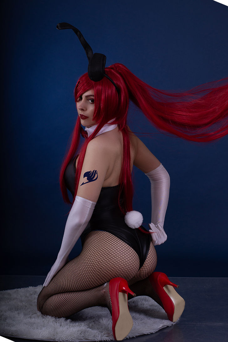 Erza Scarlet from Fairy Tail