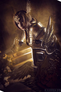 Phoenix Knight from Lineage II