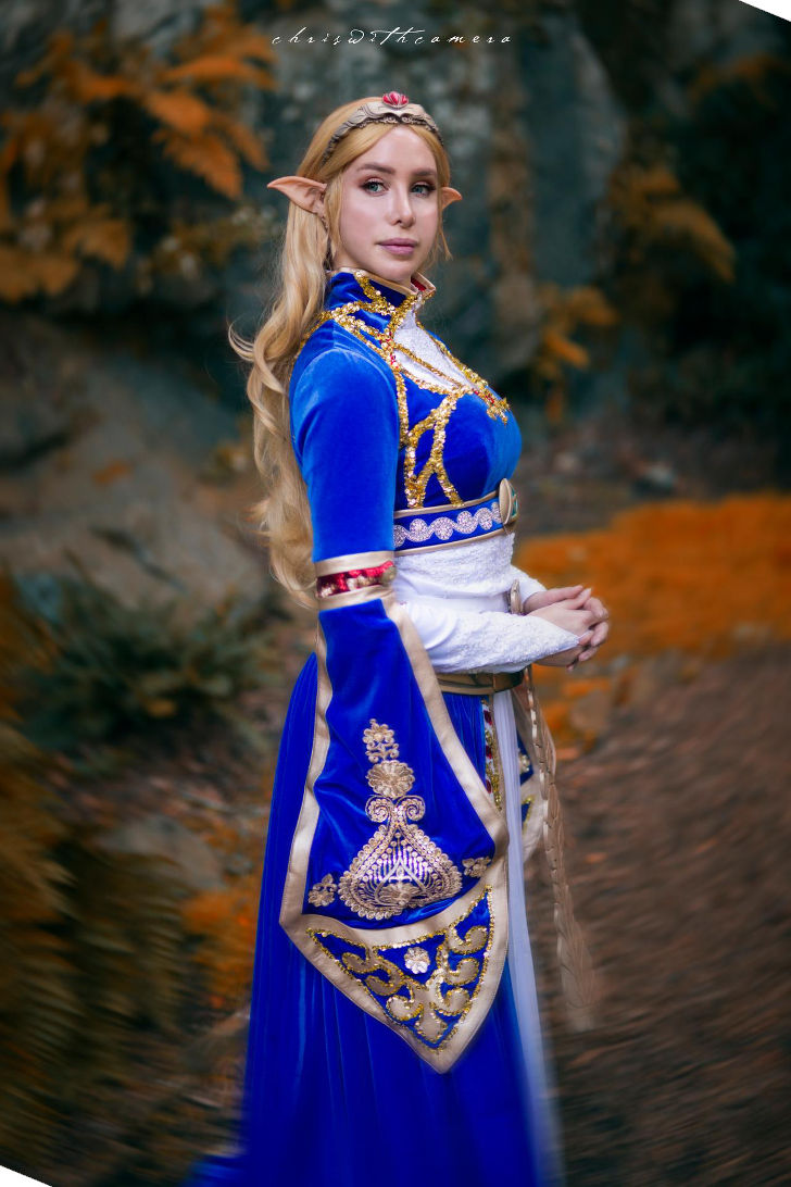 Princess Zelda from Legend of Zelda: Breath of the Wild