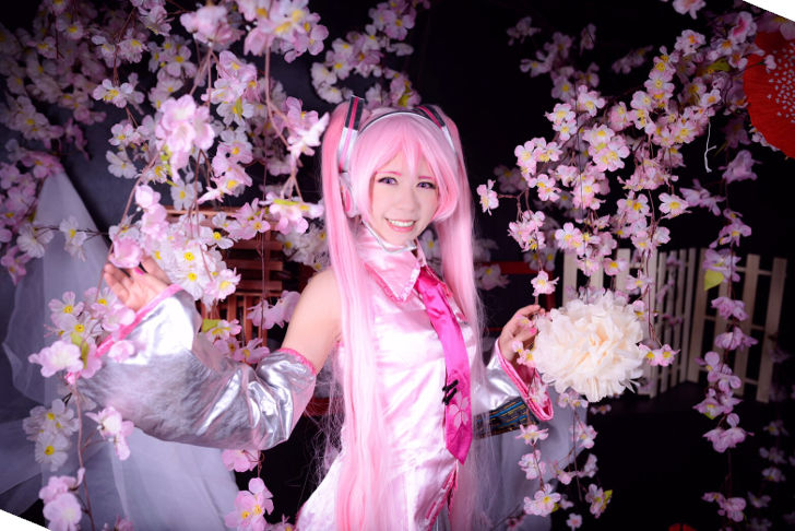 Sakura Miku from Vocaloid