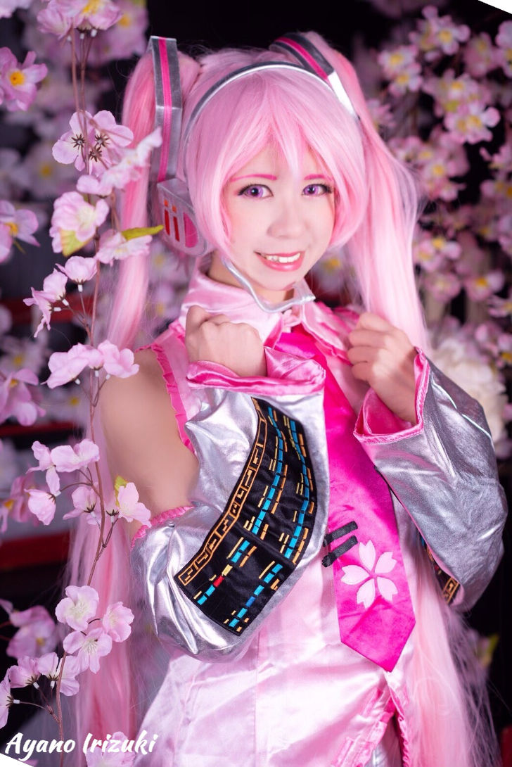 Sakura Miku From Vocaloid Daily Cosplay Sakura Miku From Vocaloid Daily Cosplay