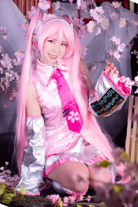 Sakura Miku from Vocaloid